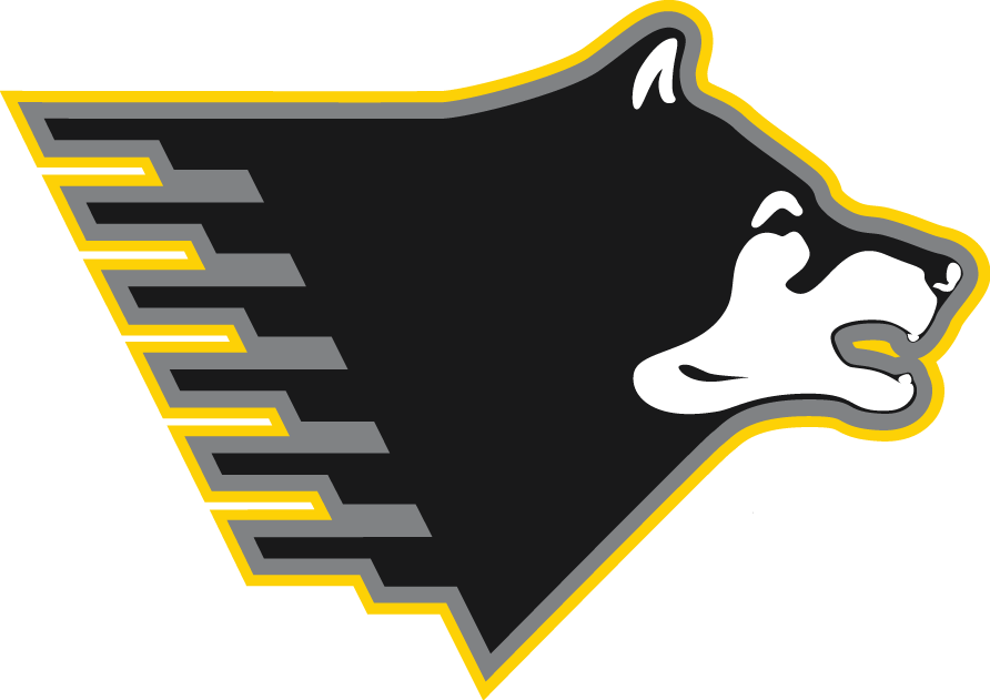 Michigan Tech Huskies 2005-Pres Partial Logo iron on transfers for fabric